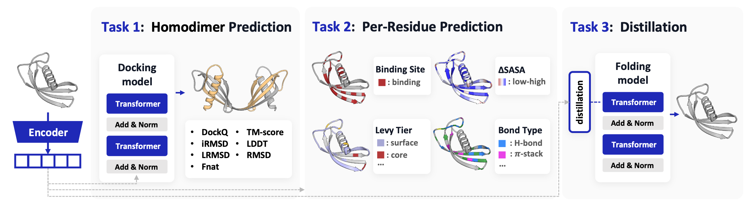 RepSP three tasks