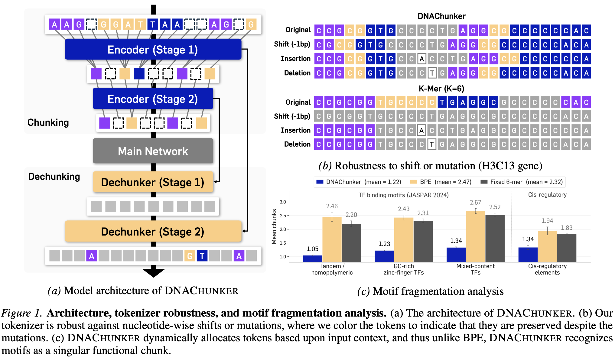 DNAChunker architecture and motif fragmentation analysis